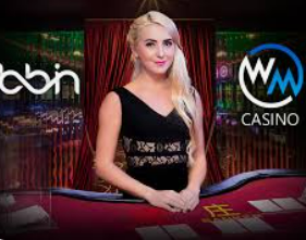 bwin必赢登录入口app官网